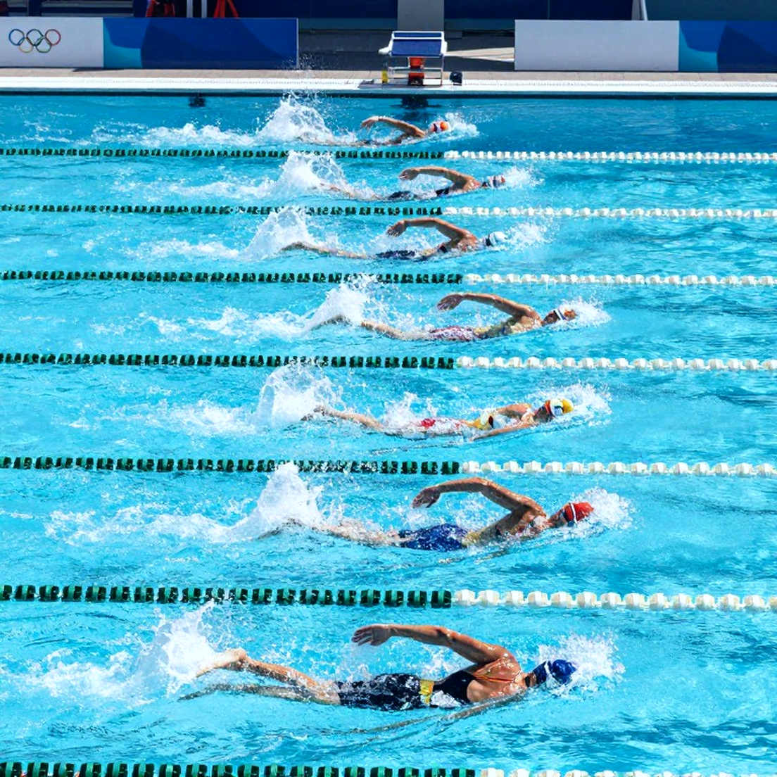 Allison Kelly Commits to Virginia: Inside the Bolles Swimmer Profile and the Load Problem Before NCAA Allison Kelly Commits to Virginia: Inside the Bolles Swimmer Profile and the Load Problem Before NCAA