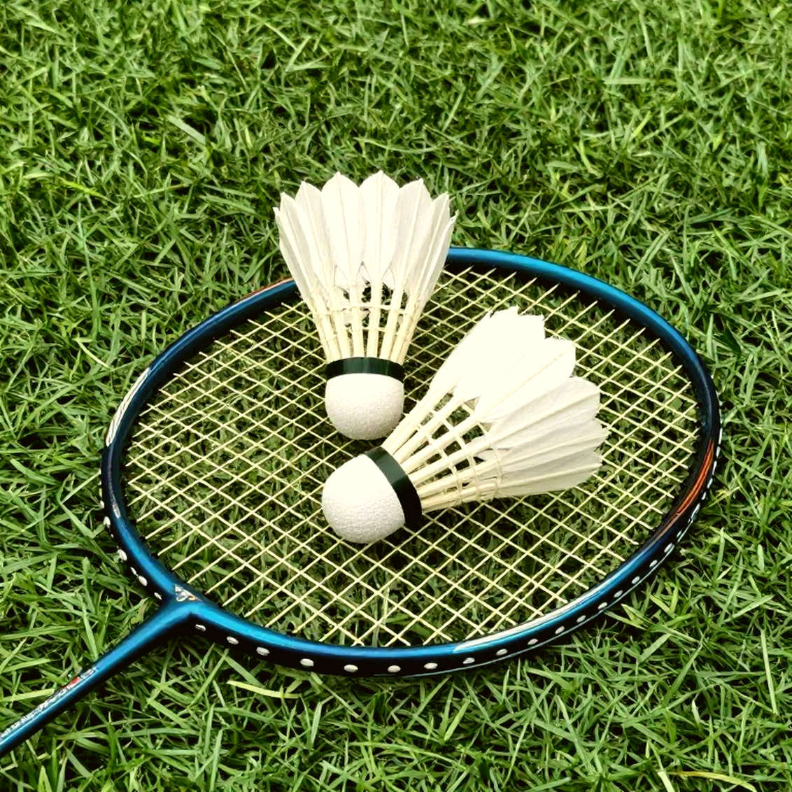 Day One of Asian Games 2026: India's Uncounted Badminton Tie and the Silence Behind the Score Day One of Asian Games 2026: India's Uncounted Badminton Tie and the Silence Behind the Score